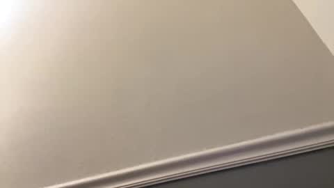 cockdixon online show from May 2026 05:35:02 AM