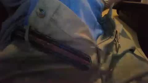 cocksmana online show from January 2026 05:22:02 AM