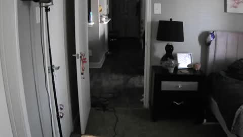 Snapshot of codieraye chatting on December 2024 03:05:02 PM TheGoddessCodie online show from December 2024 03:05:02 PM