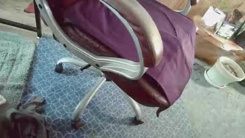 cody81421 online show from January 2026 02:22:02 PM