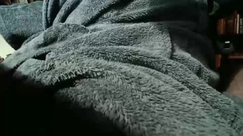 colchuck online show from February 2026 02:39:02 PM