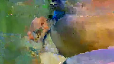 colourlight online show from November 2025 11:47:02 PM