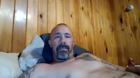 Snapshot of colt75643 chatting on July 2026 02:36:02 AM Colt75643 online show from July 2026 02:36:02 AM