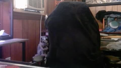 Snapshot of comic_king27 chatting on March 2026 01:59:01 PM Nelson or ComicKing and sometime Peachy143 online show from March 2026 01:59:01 PM