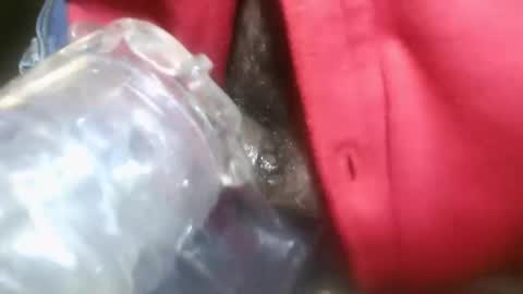 bearded hairy pits big brown cock online show from January 2025 10:45:02 PM