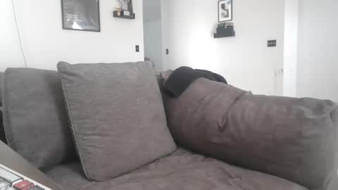 controllercutie online show from February 2026 02:21:01 PM