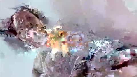 Mount N Drew online show from November 2025 07:08:02 PM