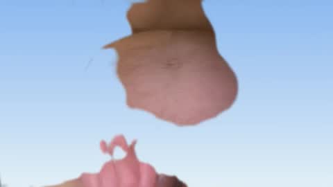 whatever you want it to be online show from February 2026 07:06:02 AM