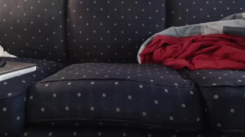 copper_crotch online show from November 2025 12:09:01 AM