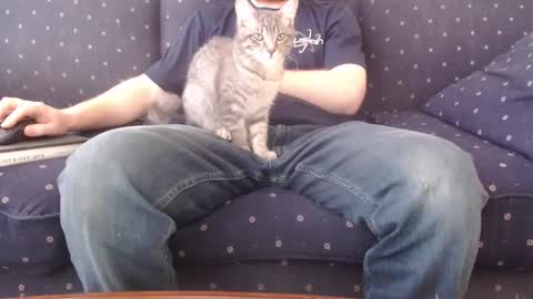 Snapshot of copper_crotch chatting on February 2026 10:28:01 PM copper_crotch online show from February 2026 10:28:01 PM