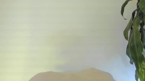 Snapshot of coral_princex chatting on February 2026 06:11:02 AM Coral princex online show from February 2026 06:11:02 AM