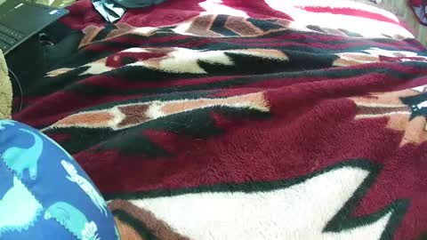 countryguy751601 online show from March 2026 07:06:01 PM