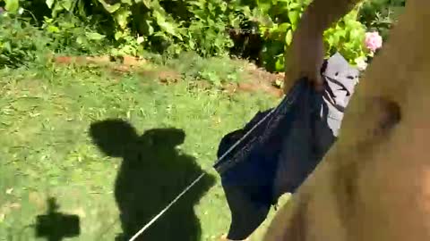 Countrydilf online show from January 2025 02:25:01 PM