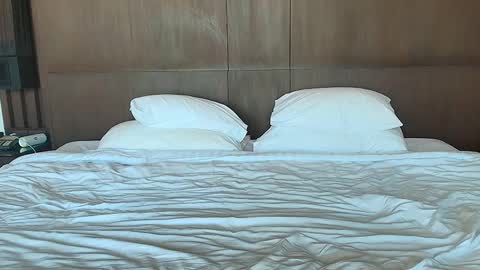 Snapshot of coupletoy97 chatting on January 2025 01:56:01 AM Sandra and Tom online show from January 2025 01:56:01 AM