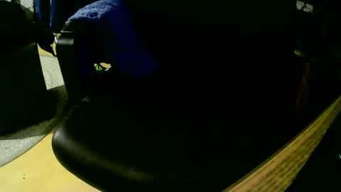 coyote017 online show from November 2025 07:49:02 PM