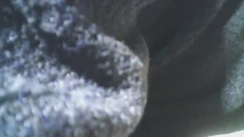 Snapshot of cplmature87 chatting on February 2025 11:10:02 PM cplmature87 online show from February 2025 11:10:02 PM