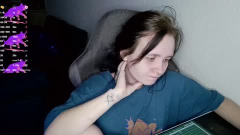 Snapshot of crash_test13 chatting on December 2024 10:30:01 PM crash_test13 online show from December 2024 10:30:01 PM