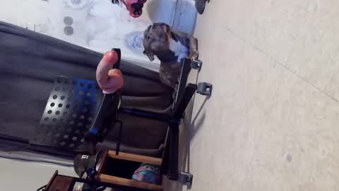 drbucknaked online show from October 2025 06:15:02 AM