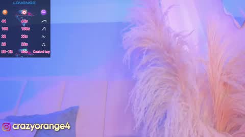 You can ask online show from March 2025 01:17:01 PM