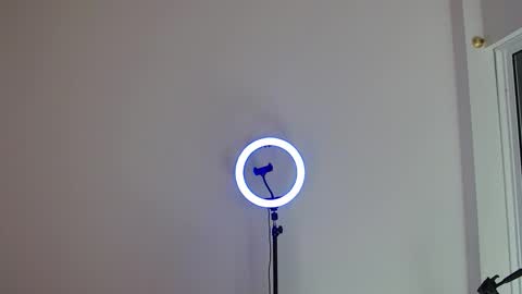 Bull online show from December 2025 03:25:01 AM