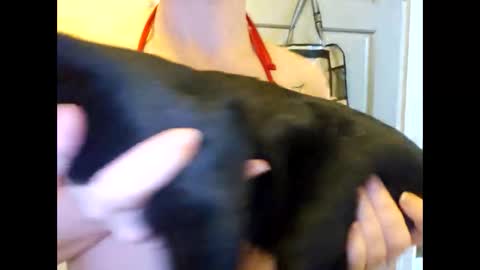 Snapshot of creamymilf11 chatting on September 2025 03:17:01 PM creamymilf11 online show from September 2025 03:17:01 PM