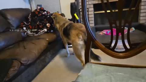 Snapshot of creeeping_death chatting on September 2025 08:08:01 AM The hopeless romantic online show from September 2025 08:08:01 AM