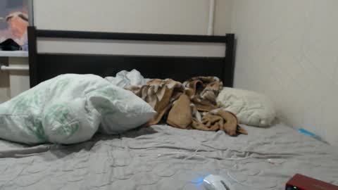 JOIN IN A FAN CLUB AND YOU WILL HAVE 90 OF MY PHOTOVIDEO    FREE FANSLY -  online show from January 2026 01:09:02 AM