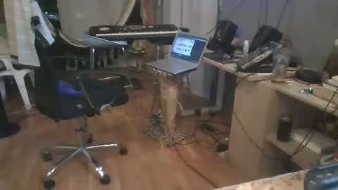 cristalcristo online show from May 2026 05:02:01 AM