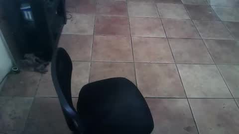 crossdressernola504 online show from February 2026 06:29:02 PM