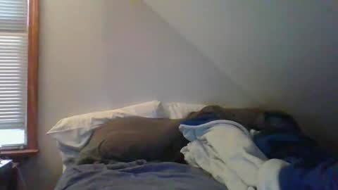 Crush380 online show from March 2026 11:56:02 AM