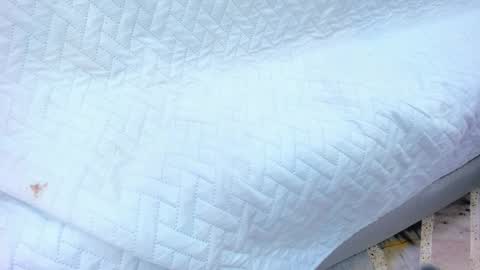 crystal_sm online show from February 2026 03:13:01 AM