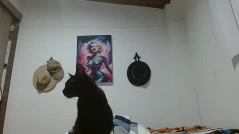 Crystal Blaze online show from March 2026 09:12:01 AM