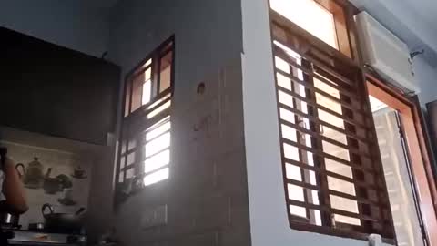 cuddlemuffins online show from March 2026 05:42:01 AM