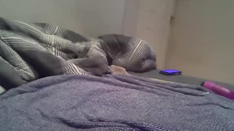 cummbumm69 online show from February 2026 08:16:01 PM