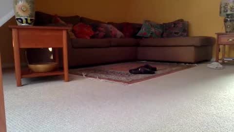 cumonherguys online show from November 2025 09:37:01 AM