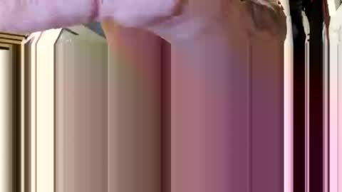 Snapshot of cumsinmealot chatting on February 2026 08:41:01 AM Aprilia online show from February 2026 08:41:01 AM