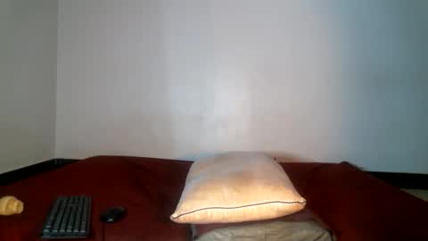 Snapshot of cumslayer19 chatting on June 2026 12:11:01 AM Shiiro online show from June 2026 12:11:01 AM