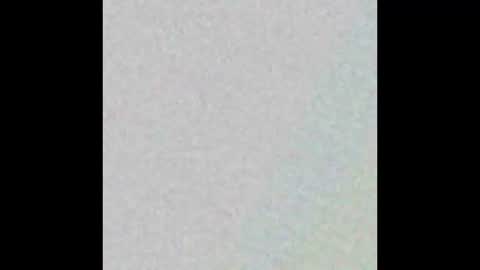 curlybutterfly online show from October 2025 10:00:02 PM