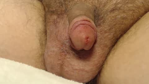 curve66 online show from January 2026 09:30:02 PM