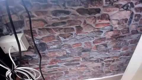 Alyanna  online show from November 2025 12:16:01 PM