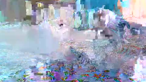 cute_savanna online show from February 2026 08:19:01 AM