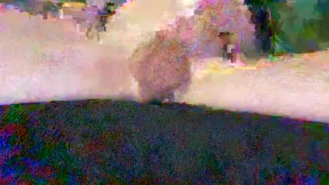 Snapshot of cwaddle chatting on January 2025 03:48:01 PM cwaddle online show from January 2025 03:48:01 PM