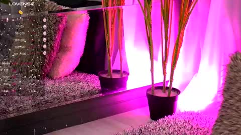 Ivy online show from November 2025 04:22:01 AM