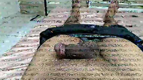 d130213 online show from October 2025 01:46:01 AM