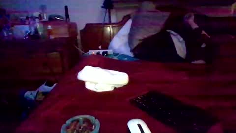 dabangaz4life online show from December 2024 09:33:02 AM