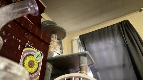 dabqueen_1994 online show from April 2026 11:59:01 AM