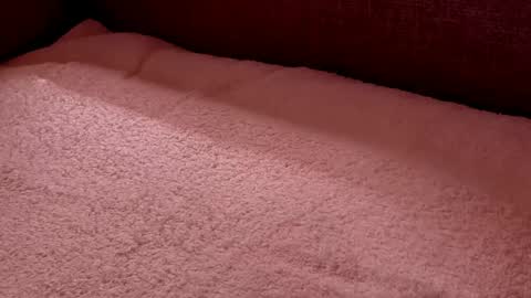  Richard  online show from February 2025 09:58:02 PM