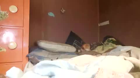 daddy5567127 online show from February 2025 03:41:01 AM