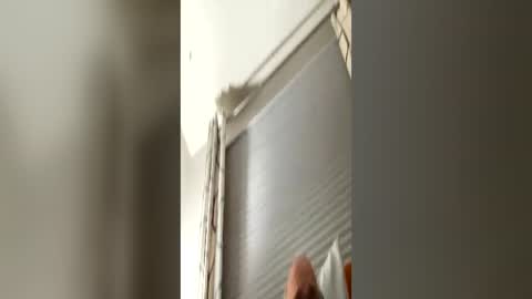 daddyweis online show from June 2026 02:14:01 AM