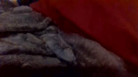 daddywhite88 online show from January 2026 12:38:01 AM